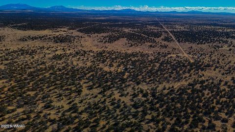 Tiny photo for 5823 Cattle Guard Rd 21.41 Acres, Williams, AZ 86046 (MLS # 258084)