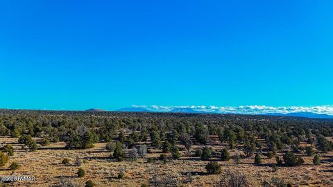 Tiny photo for 5823 Cattle Guard Rd 21.41 Acres, Williams, AZ 86046 (MLS # 258084)