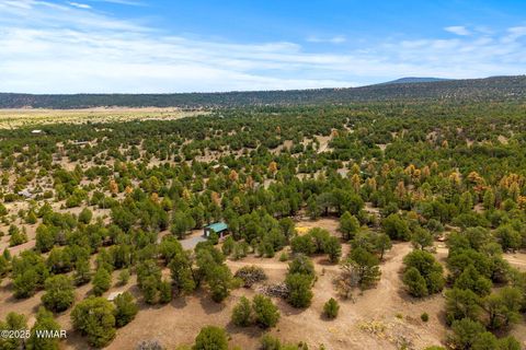 Tiny photo for 28 N 2328, Nutrioso, AZ 85932 (MLS # 257266)