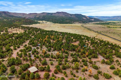 Tiny photo for 28 N 2328, Nutrioso, AZ 85932 (MLS # 257266)