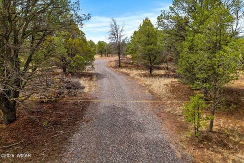 Tiny photo for 28 N 2328, Nutrioso, AZ 85932 (MLS # 257266)