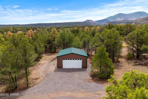 Photo of 28 N 2328, Nutrioso, AZ 85932 (MLS # 257266)