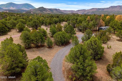 Tiny photo for 28 N 2328, Nutrioso, AZ 85932 (MLS # 257266)