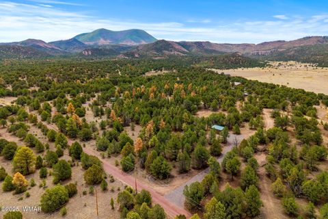 Tiny photo for 28 N 2328, Nutrioso, AZ 85932 (MLS # 257266)