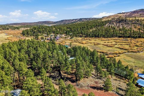 Tiny photo for 4 N1013, Greer, AZ 85927 (MLS # 258705)