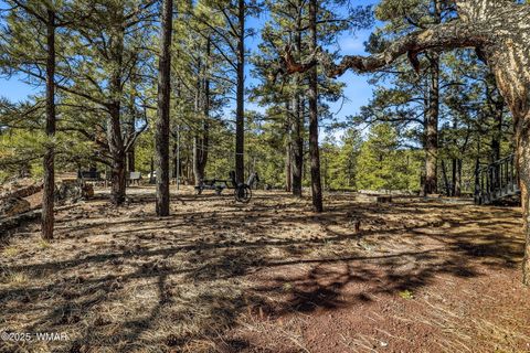 Tiny photo for 4 N1013, Greer, AZ 85927 (MLS # 258705)