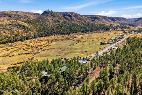 Tiny photo for 4 N1013, Greer, AZ 85927 (MLS # 258705)