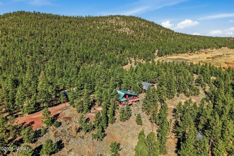 Tiny photo for 4 N1013, Greer, AZ 85927 (MLS # 258705)
