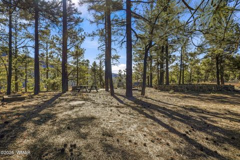 Tiny photo for 4 N1013, Greer, AZ 85927 (MLS # 258705)