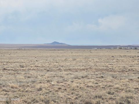 Tiny photo for 7943 Roulette Avenue, Holbrook, AZ 86025 (MLS # 241913)