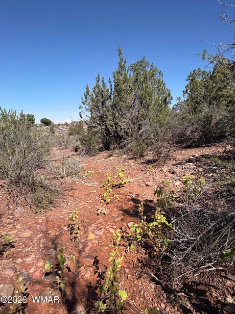 Tiny photo for 24 S Temple Circle, Snowflake, AZ 85937 (MLS # 263486)