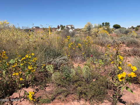 Tiny photo for 24 S Temple Circle, Snowflake, AZ 85937 (MLS # 263486)