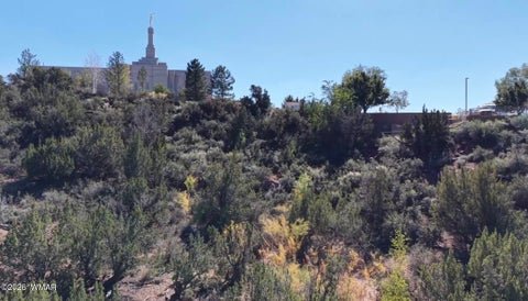 Tiny photo for 24 S Temple Circle, Snowflake, AZ 85937 (MLS # 263486)
