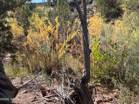 Tiny photo for 24 S Temple Circle, Snowflake, AZ 85937 (MLS # 263486)