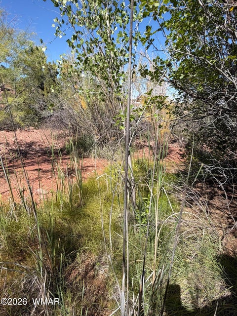 Tiny photo for 24 S Temple Circle, Snowflake, AZ 85937 (MLS # 263486)