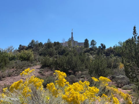 Photo of 24 S Temple Circle, Snowflake, AZ 85937 (MLS # 263486)