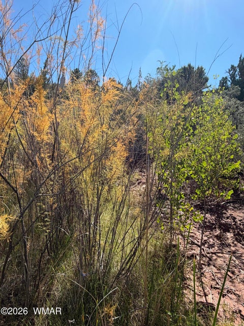 Tiny photo for 24 S Temple Circle, Snowflake, AZ 85937 (MLS # 263486)