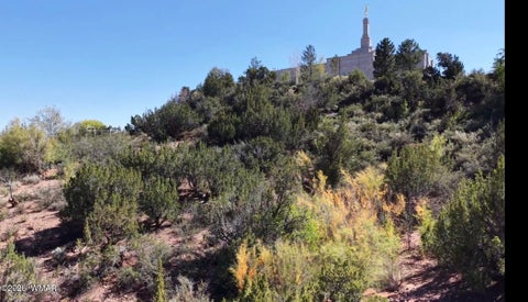 Tiny photo for 24 S Temple Circle, Snowflake, AZ 85937 (MLS # 263486)