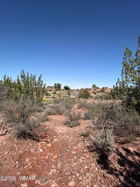 Tiny photo for 24 S Temple Circle, Snowflake, AZ 85937 (MLS # 263486)