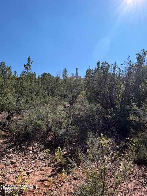 Tiny photo for 24 S Temple Circle, Snowflake, AZ 85937 (MLS # 263486)