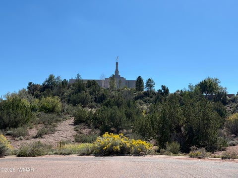 Tiny photo for 24 S Temple Circle, Snowflake, AZ 85937 (MLS # 263486)