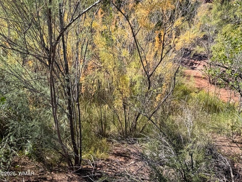 Tiny photo for 24 S Temple Circle, Snowflake, AZ 85937 (MLS # 263486)