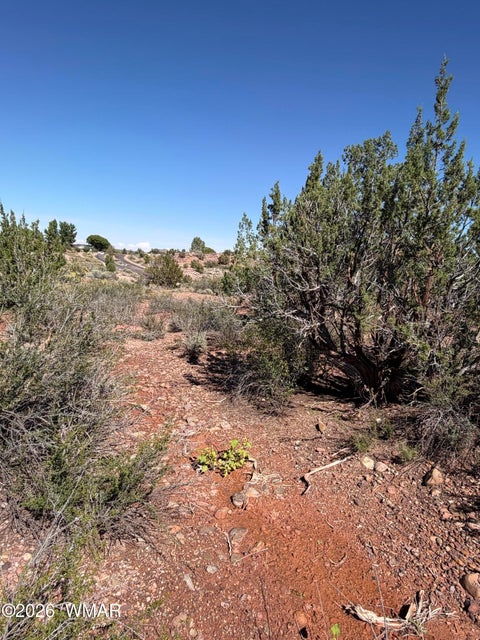 Tiny photo for 24 S Temple Circle, Snowflake, AZ 85937 (MLS # 263486)