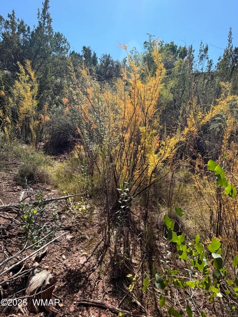 Tiny photo for 24 S Temple Circle, Snowflake, AZ 85937 (MLS # 263486)