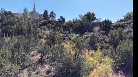 Tiny photo for 24 S Temple Circle, Snowflake, AZ 85937 (MLS # 263486)