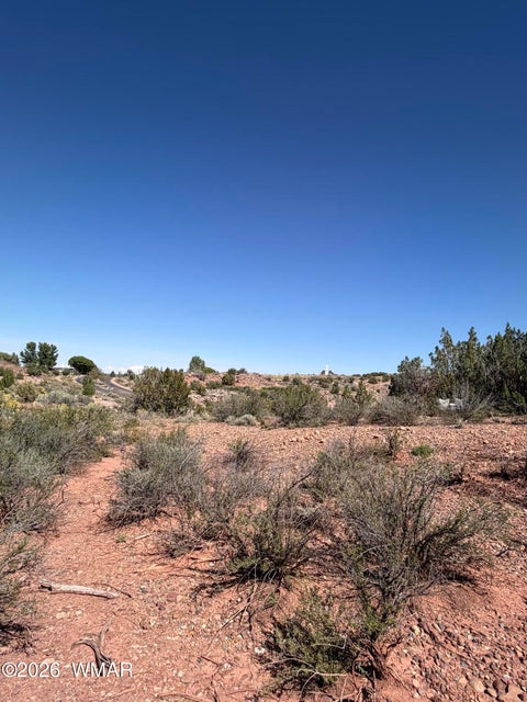 Tiny photo for 24 S Temple Circle, Snowflake, AZ 85937 (MLS # 263486)