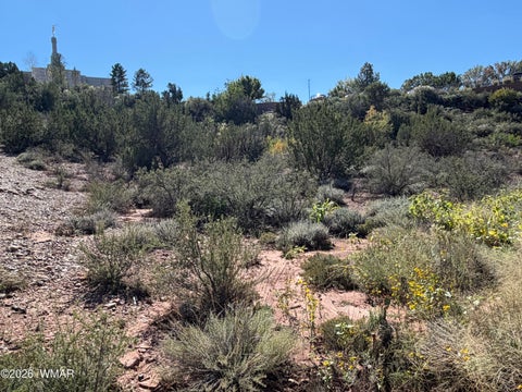 Tiny photo for 24 S Temple Circle, Snowflake, AZ 85937 (MLS # 263486)