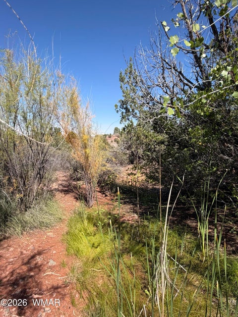 Tiny photo for 24 S Temple Circle, Snowflake, AZ 85937 (MLS # 263486)