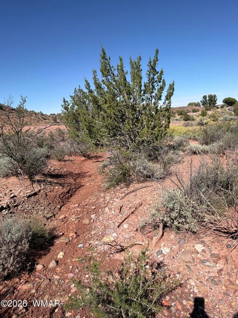 Tiny photo for 24 S Temple Circle, Snowflake, AZ 85937 (MLS # 263486)
