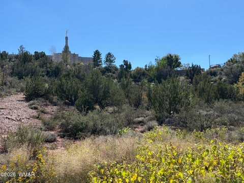 Tiny photo for 24 S Temple Circle, Snowflake, AZ 85937 (MLS # 263486)