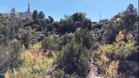 Tiny photo for 24 S Temple Circle, Snowflake, AZ 85937 (MLS # 263486)