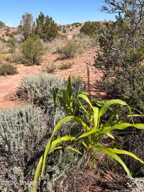 Tiny photo for 24 S Temple Circle, Snowflake, AZ 85937 (MLS # 263486)