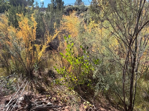Tiny photo for 24 S Temple Circle, Snowflake, AZ 85937 (MLS # 263486)