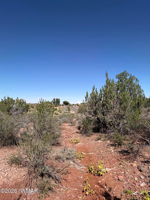 Tiny photo for 24 S Temple Circle, Snowflake, AZ 85937 (MLS # 263486)