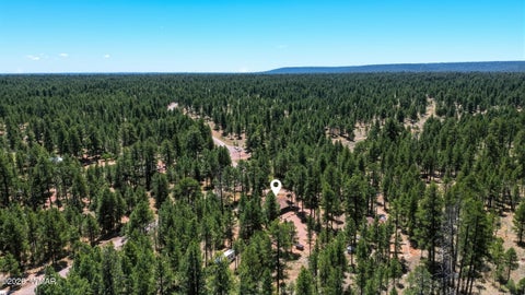 Tiny photo for 856 Coconino Loop, Happy Jack, AZ 86024 (MLS # 261968)