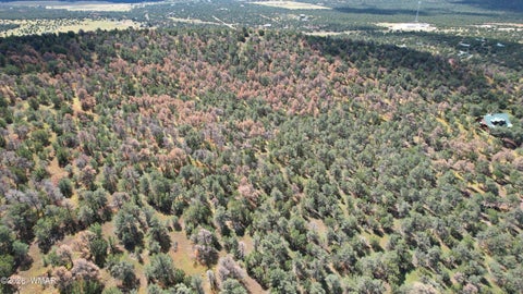 Tiny photo for 66 N3130, Vernon, AZ 85940 (MLS # 262860)