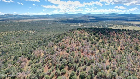 Tiny photo for 66 N3130, Vernon, AZ 85940 (MLS # 262860)