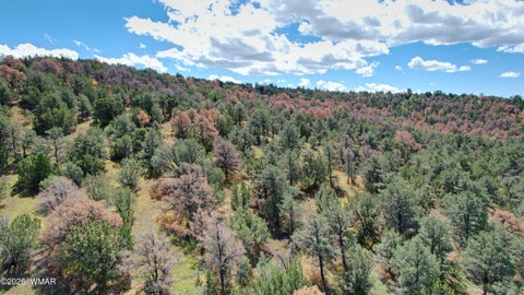 Tiny photo for 66 N3130, Vernon, AZ 85940 (MLS # 262860)