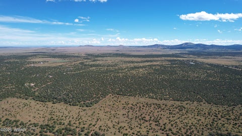 Tiny photo for 66 N3130, Vernon, AZ 85940 (MLS # 262860)