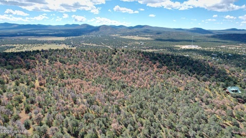 Tiny photo for 66 N3130, Vernon, AZ 85940 (MLS # 262860)