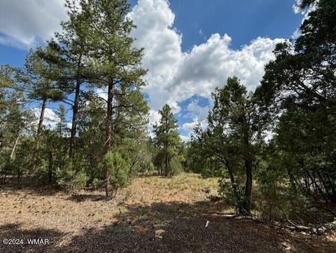 Tiny photo for 1541 S Braden Court, Show Low, AZ 85901 (MLS # 257755)