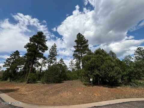 Photo of 1541 S Braden Court, Show Low, AZ 85901 (MLS # 257755)