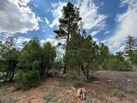 Tiny photo for 1541 S Braden Court, Show Low, AZ 85901 (MLS # 257755)