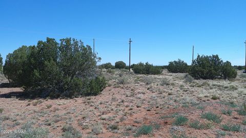 Tiny photo for 9671 Navajo Lane, Snowflake, AZ 85937 (MLS # 257360)