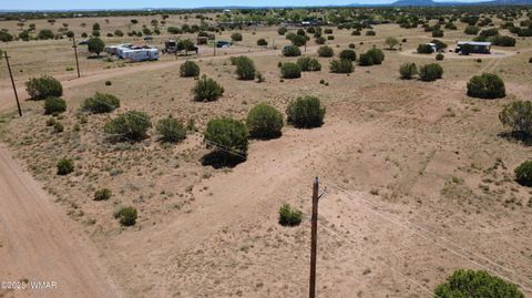 Tiny photo for 9671 Navajo Lane, Snowflake, AZ 85937 (MLS # 257360)
