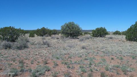 Photo of 9671 Navajo Lane, Snowflake, AZ 85937 (MLS # 257360)